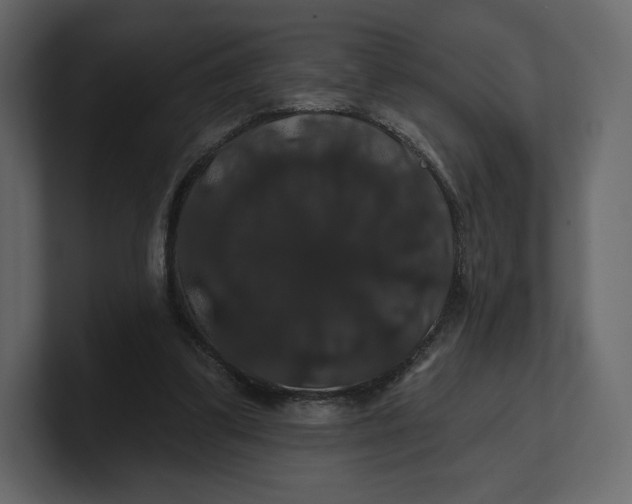 X0000100890299200807151103