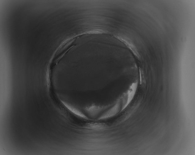 X0000100890300200807151103