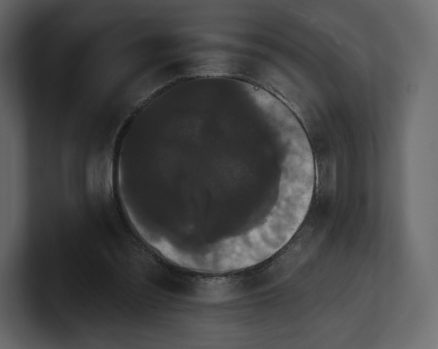 X0000100890301200807151103