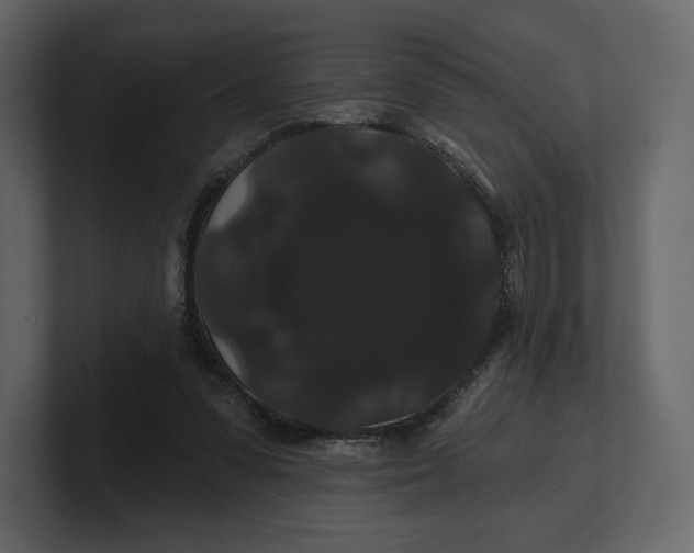 X0000100890303200807151103