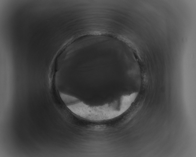 X0000100890304200807151103