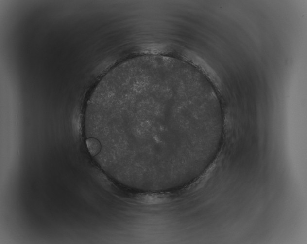 X0000100890305200807151103