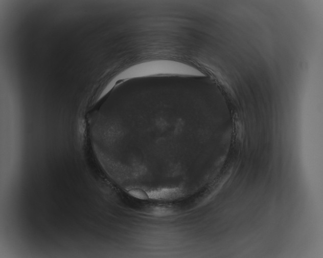 X0000100890308200807151102