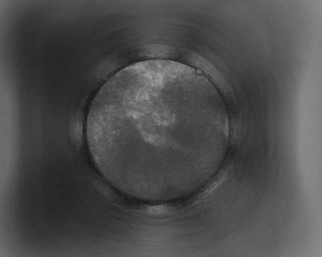 X0000100890309200807151102