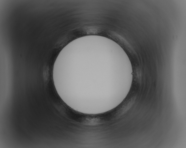 X0000100890311200807151102