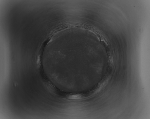 X0000100890312200807151102