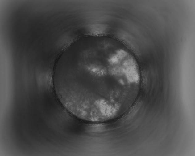 X0000100890313200807151102