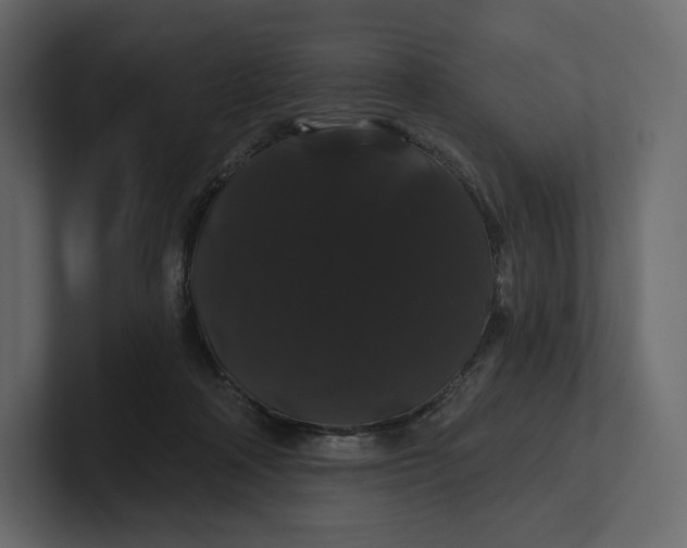 X0000100890314200807151102