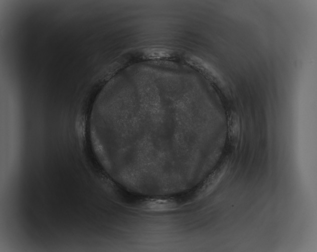 X0000100890315200807151102