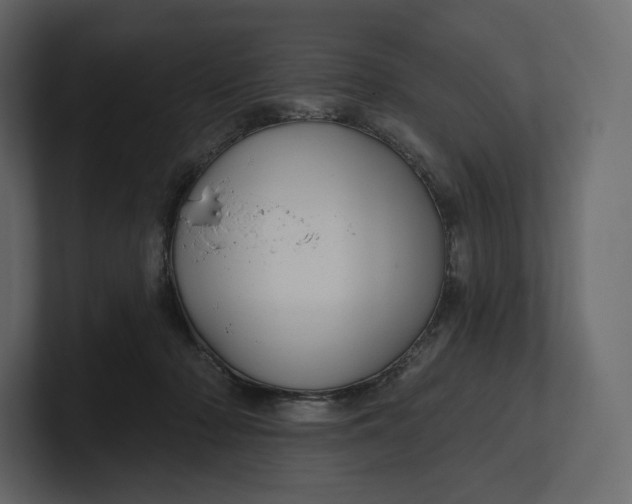 X0000100890318200807151102