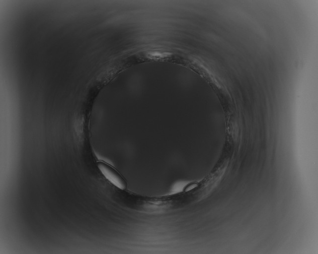 X0000100890319200807151102