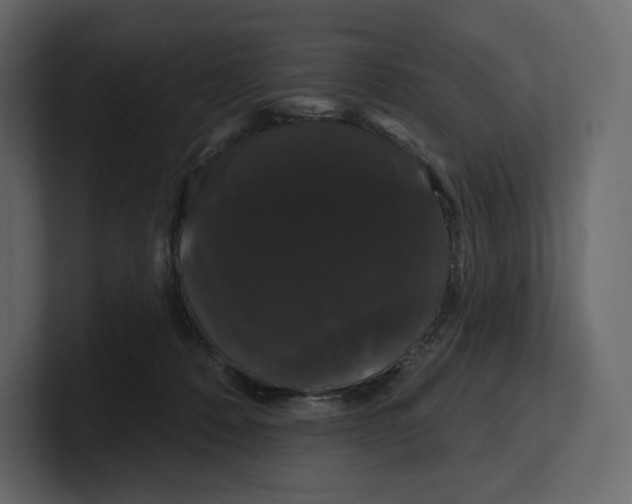 X0000100890320200807151102