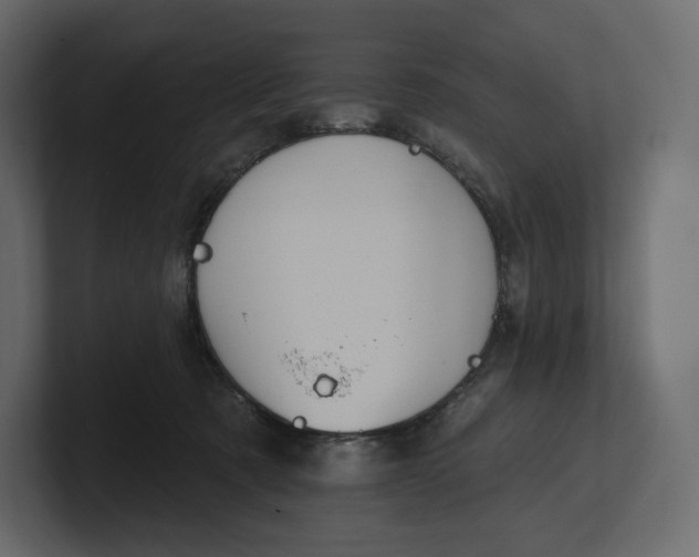 X0000100890321200807151102