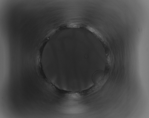 X0000100890322200807151102