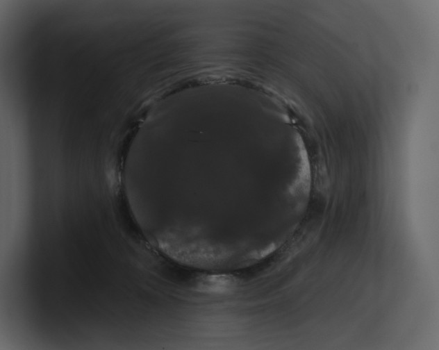 X0000100890324200807151102