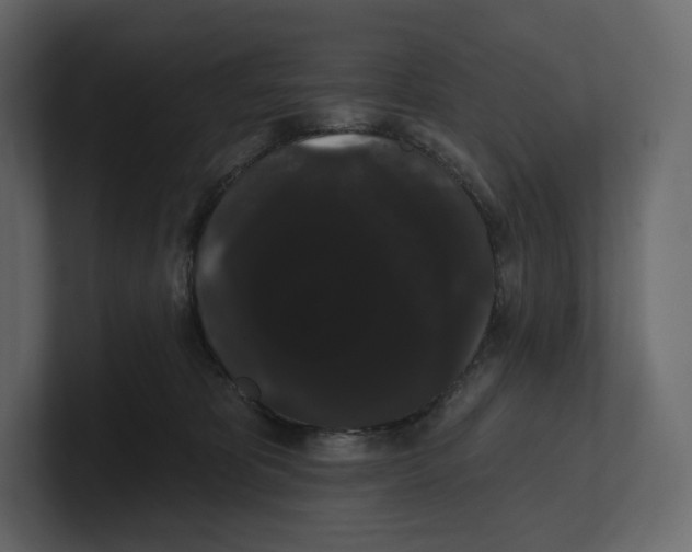 X0000100890325200807151102