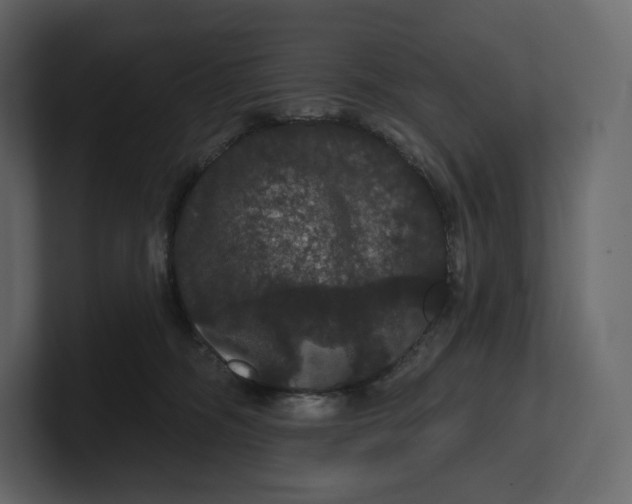 X0000100890326200807151102