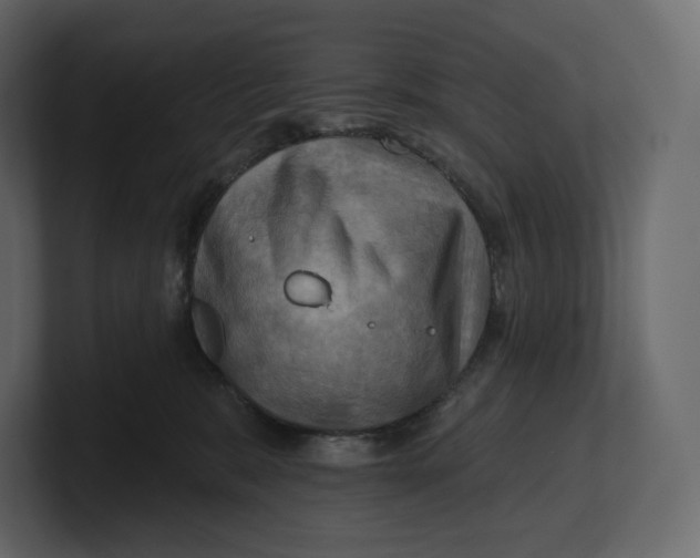 X0000100890327200807151102