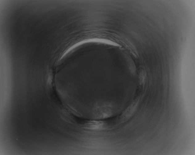 X0000100890328200807151102