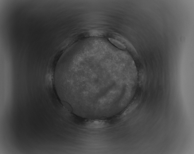 X0000100890329200807151102