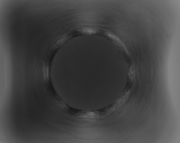 X0000100890330200807151102