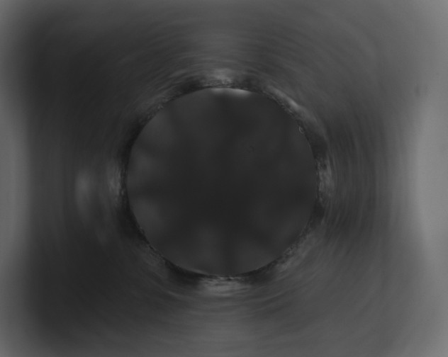 X0000100890331200807151102