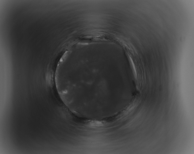 X0000100890332200807151102