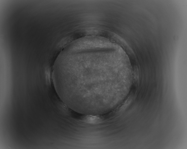 X0000100890333200807151102