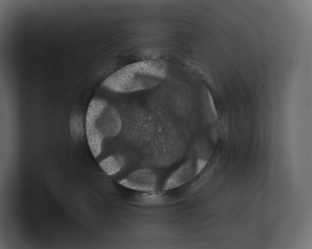 X0000100890335200807151102