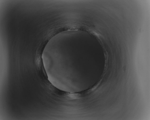 X0000100890336200807151102