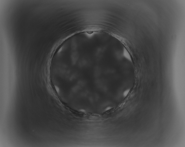 X0000100890337200807151101