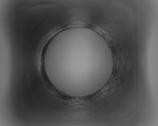 X0000100890338200807151101