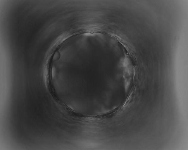 X0000100890339200807151101