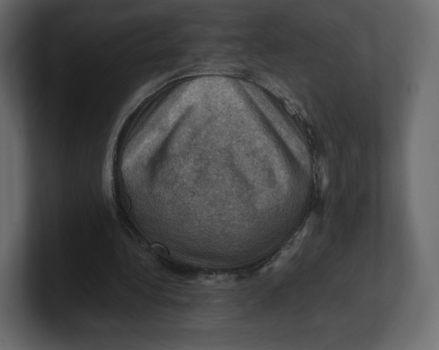 X0000100890340200807151101