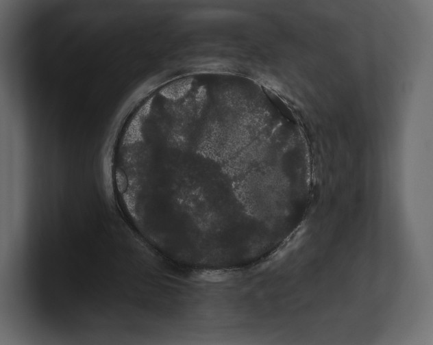 X0000100890341200807151101