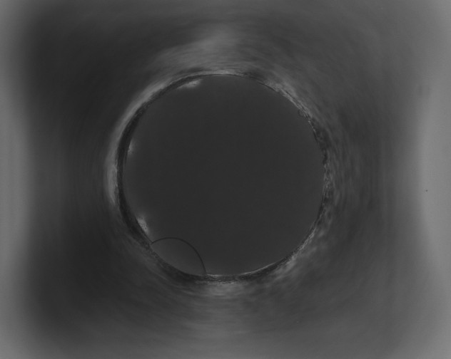 X0000100890342200807151101