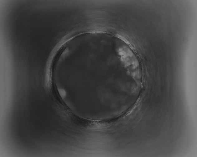 X0000100890343200807151101