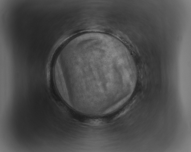 X0000100890344200807151101