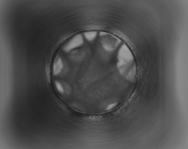 X0000100890345200807151101