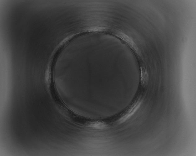 X0000100890348200807151101