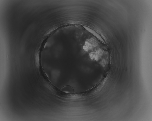 X0000100890349200807151101