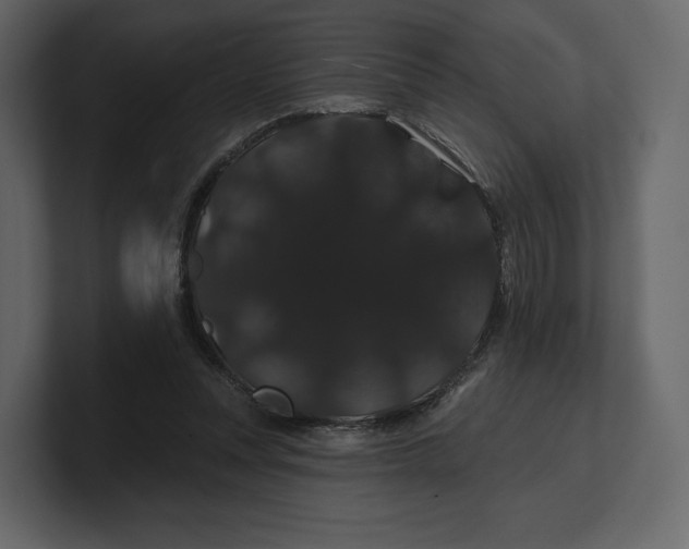 X0000100890351200807151101