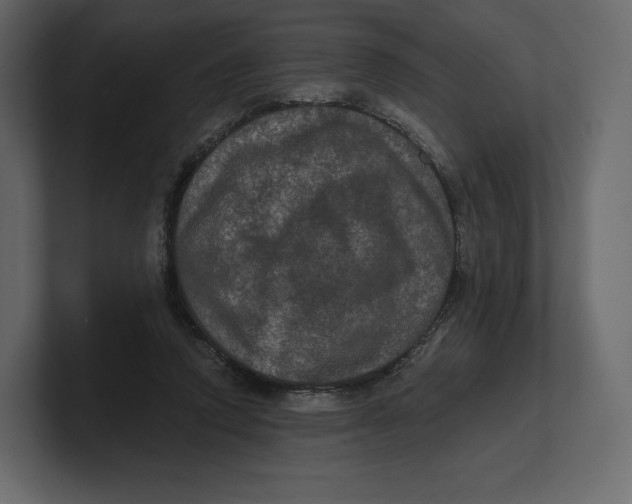 X0000100890354200807151101