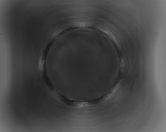 X0000100890355200807151101