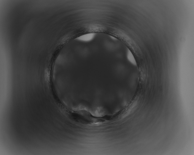 X0000100890357200807151102