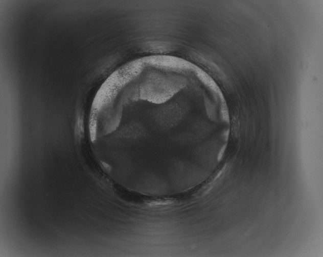 X0000100890358200807151102