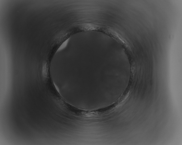 X0000100890359200807151102