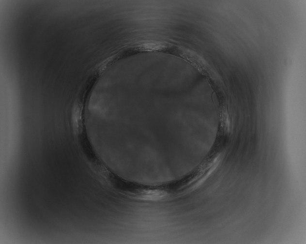 X0000100890360200807151102