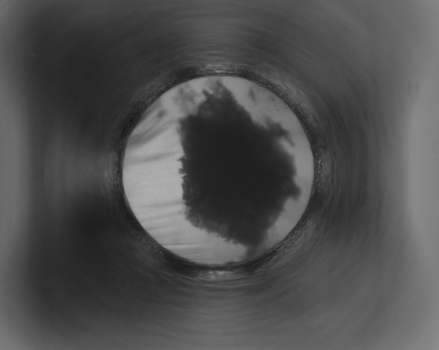 X0000100890361200807151102