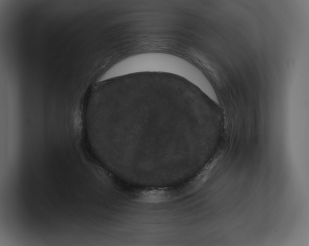 X0000100890362200807151102